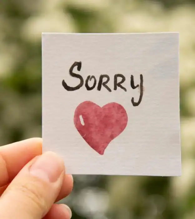 sorry wallpaper